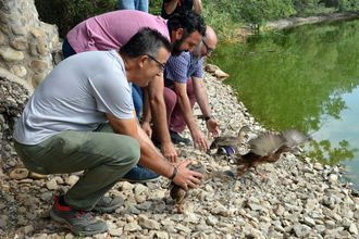 El Ayuntamiento de Azuqueca proyecta una pasarela peatonal sobre la A2 para llegar al río Henares