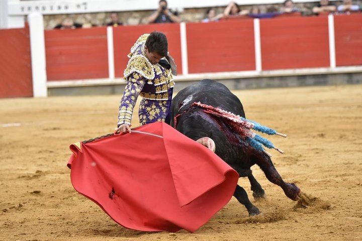 Morante y Talavante puntúan en Brihuega