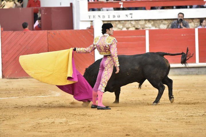 Morante y Talavante puntúan en Brihuega