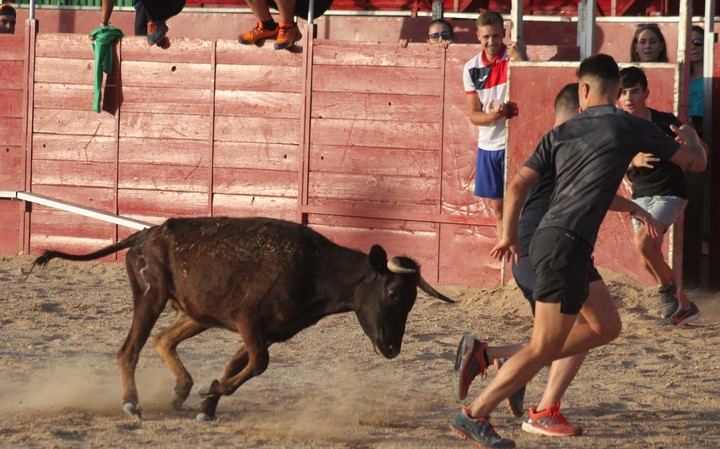 El grupo La Raíz abarrota el recinto Ferial de Cabanillas en la noche de la luna roja