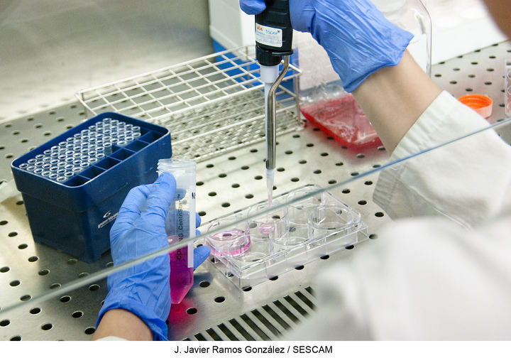 El Hospital de Guadalajara acogerá en octubre las II Jornadas de Investigación para dar a conocer y potenciar el trabajo investigador