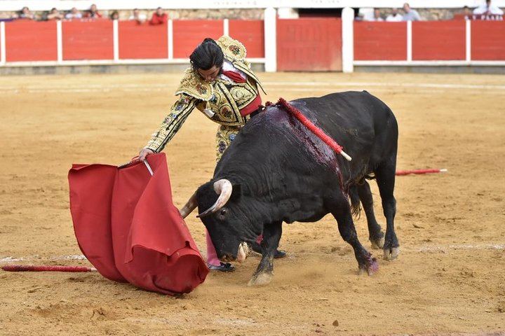 Morante y Talavante puntúan en Brihuega