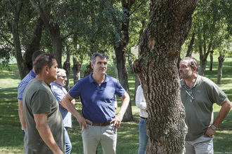 Abierto el parque de la Fuente de la Niña de Guadalajara