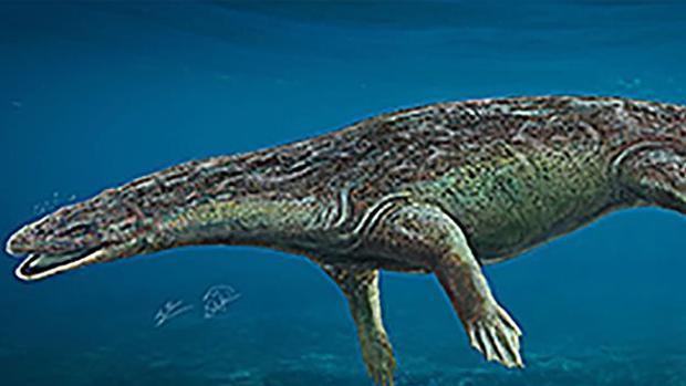 Descubren un reptil que vivió en el pantano El Atance de Sigüenza hace 230 millones de años
