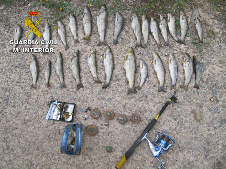 Denuncian a una persona por pesca furtiva con artes prohibidas en Peralejos de las Truchas