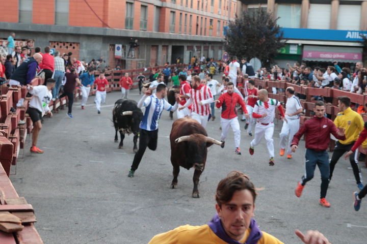 Foto : www.eduardobonilllafotovideo.com