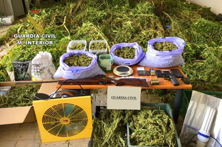 La Guardia Civil detiene a una persona en Argamasilla de Alba por cultivo y tráfico de marihuana