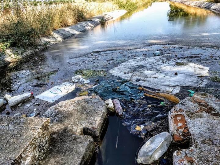 Izquierda Unida de Azuqueca denuncia en estado del río Henares a su paso por el municipio