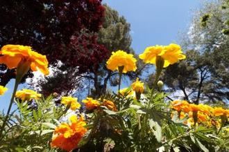 Ambiente soleado con temperaturas más veraniegas que otoñales este sábado en Guadalajara con el mercurio en los 30ºC