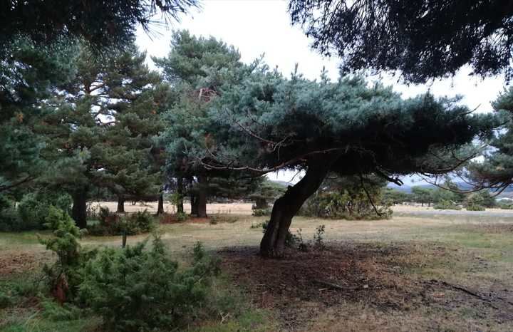 Los Bolanes, Cantalojas. Foto : Jacinto García Duro