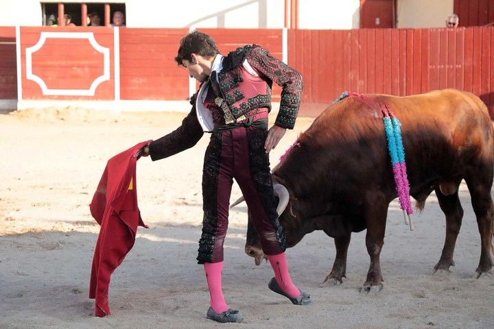 Manuel Perera sale a hombros de Almonacid en la segunda semifinal de Guadalajara busca torero