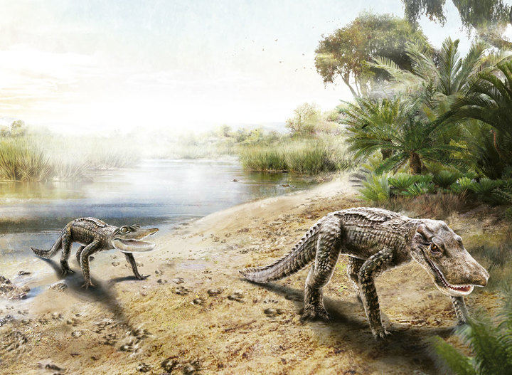 Infografía: Anyforms Design