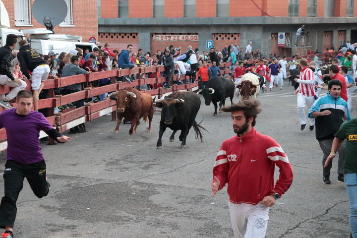 Foto : www.eduardobonillaruiz.com