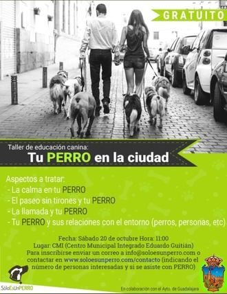 Quedan plazas para los talleres de cultivo en macetas y adiestramiento canino en Guadalajara