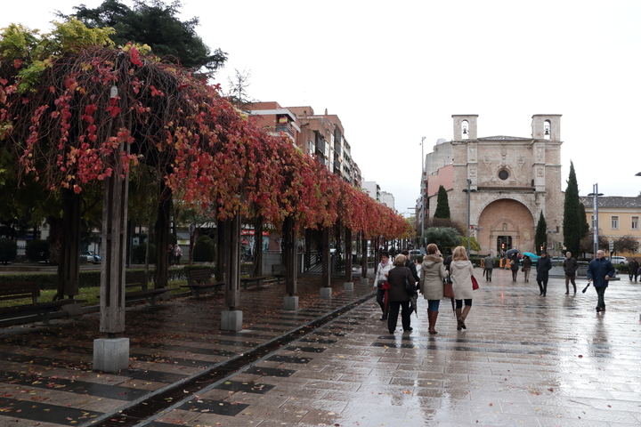 Foto : www.eduardobonillafotovideo.com