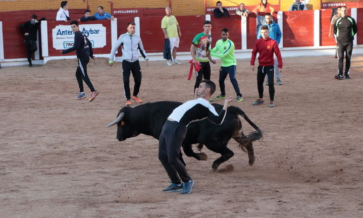 Limpieza y rapidez en el primer encierro de Ferias de Guadalajara