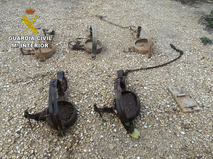 El Seprona se pone muy serio contra el uso de venenos en el medio natural en Guadalajara