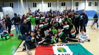 II Open Internacional Don Quijote de Taekwondo