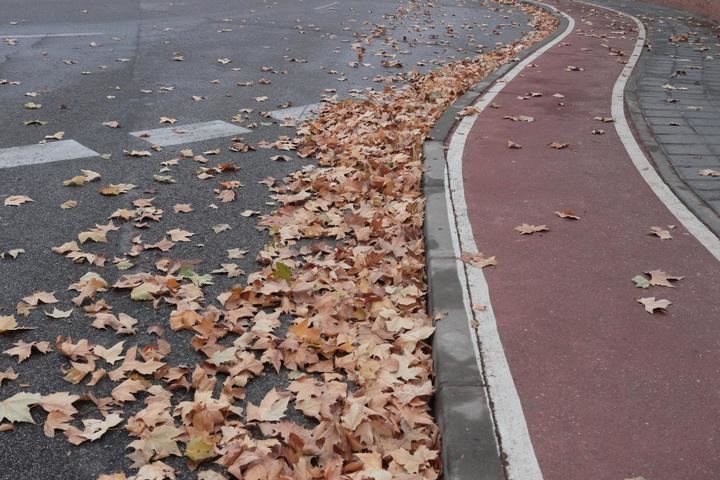 Termómetros en los 0ºC y cielos nublados a lo largo de este martes en Guadalajara