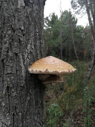 Una foto de Laura Laguna gana el concurso en Facebook #BuenasCostumbres