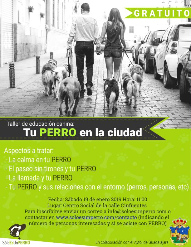 El sábado 19 de enero, nuevo taller de educación canina en Guadalajara