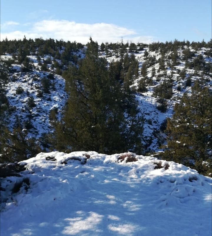 Ayer en Tamajón Foto : Jacinto García Duro