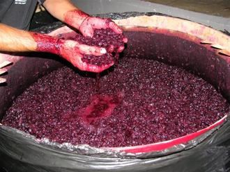 Sancionan a 16 bodegas de Castilla-La Mancha por engañar con sus vinos... y les sale barato seguir haciéndolo