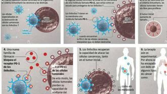 Castilla-La Mancha registró 11.785 nuevos casos de cáncer en 2018 y 4.821 fallecidos por esta enfermedad