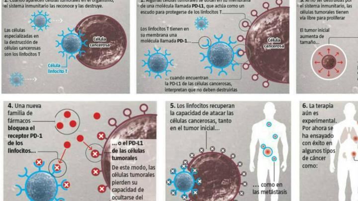 Castilla-La Mancha registró 11.785 nuevos casos de cáncer en 2018 y 4.821 fallecidos por esta enfermedad