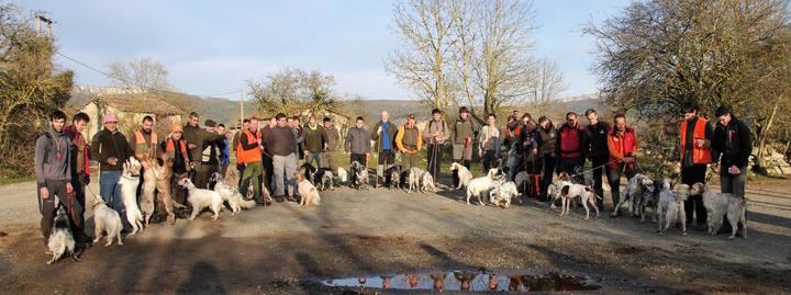 Concurso de perros de muestra sobre becada sin muerte en la Dehesa de Solanillos