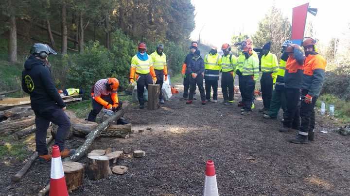 Medio Ambiente y SGR Arboricultura organizan un curso de manejo de motosierra y de técnicas de corte y poda en Guadalajara