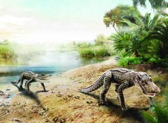 Los cocodrilos cretácicos y los hallazgos arqueológicos de Tamajón serán un reclamo turístico y económico para la Sierra Norte