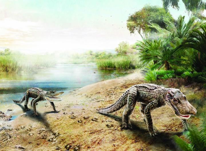 Los cocodrilos cretácicos y los hallazgos arqueológicos de Tamajón serán un reclamo turístico y económico para la Sierra Norte