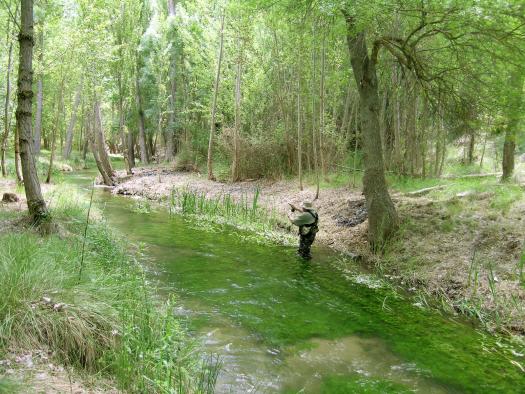 Se publica la Orden de Vedas de Pesca para 2019 en Castilla La Mancha