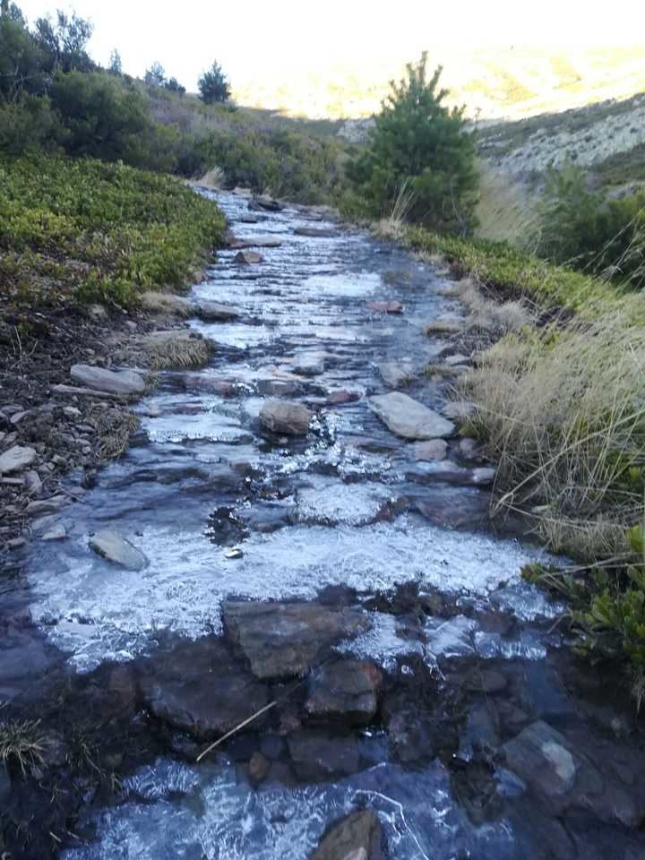 Foto : Ayer en el Pico Ocejón. Jacinto García Duro