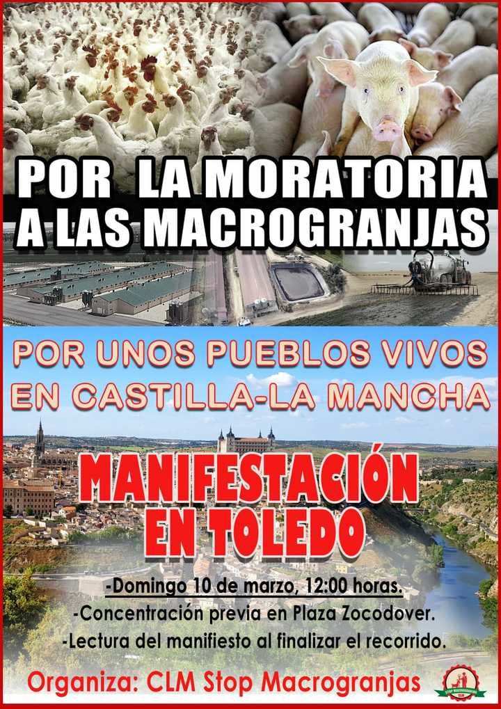 Pueblos de toda Castilla-La Mancha se manifiestan este domingo en Toledo para exigir una moratoria que paralice las licencias de las Macrogranjas