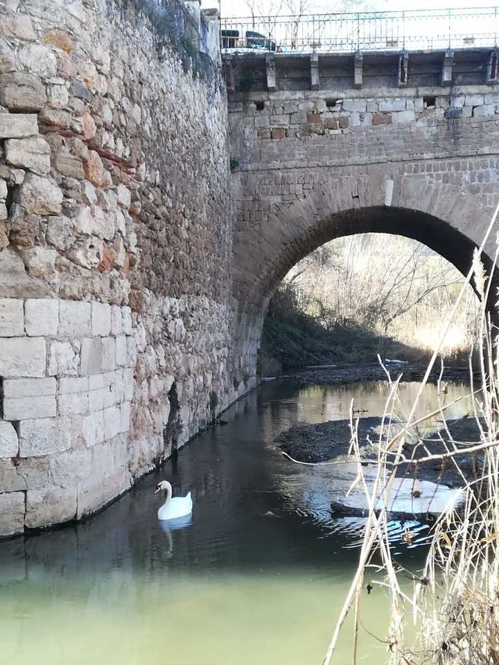 Foto : Jacinto García Duro