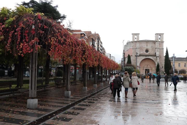 Foto : www.eduardobonillafotovideo.com