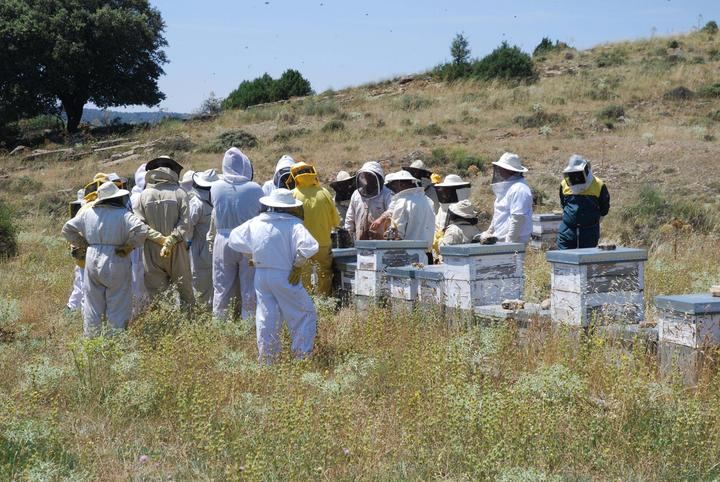 La Asociación de Apicultores de Guadalajara innova en formación con un programa de tutelajes apícolas