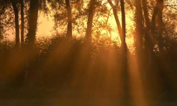 La Virgen de la Antigua estrena la concatedral