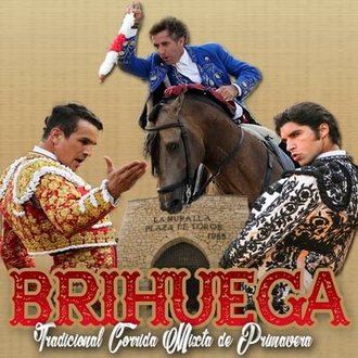 La Junta Electoral Provincial prohíbe la manifestación antitaurina en Brihuega por una denuncia del Partido Popular