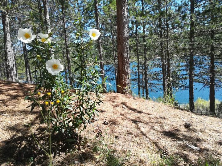Pantano El Vado. Foto : Jacinto García Duro