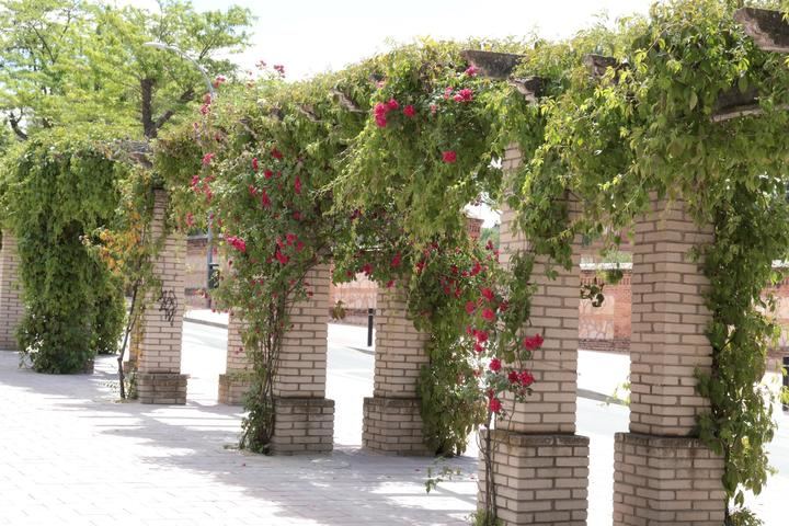 Cielos completamente despejados y temperaturas más que primaverales durante este miércoles en Guadalajara