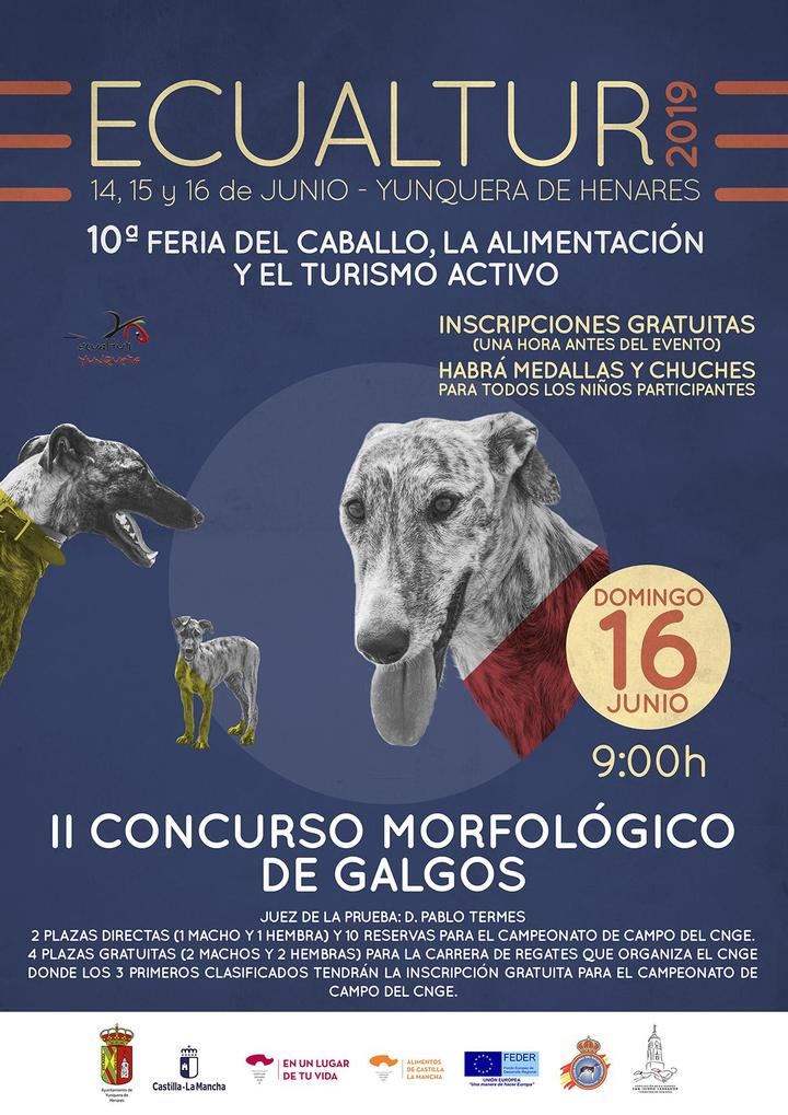Ecualtur Yunquera acoge el II Concurso Morfológico de Galgo Español