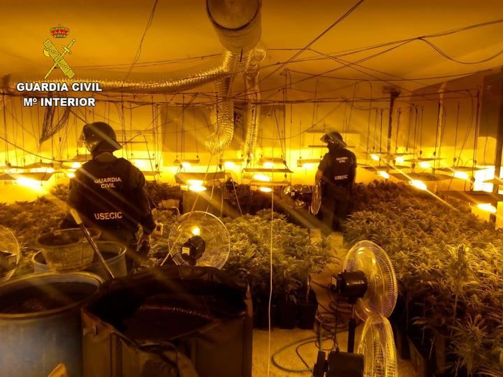 La Guardia Civil desmantela una plantación de marihuana en Pioz
