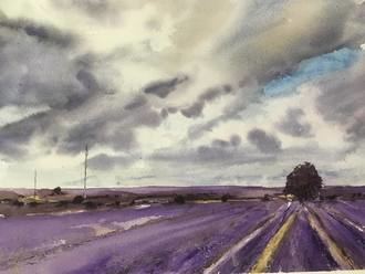 Exposición de exquisitas Acuarelas de Társila Jiménez en Brihuega