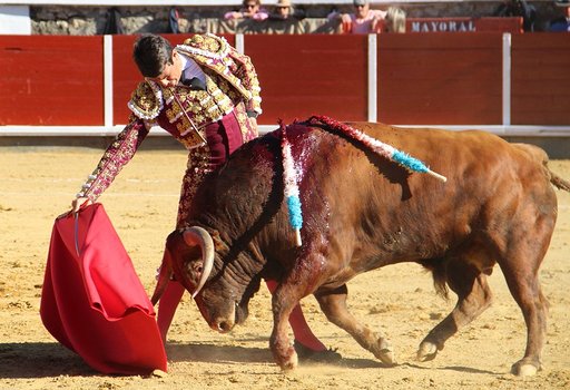 Manzanares sale en hombros de Brihuega