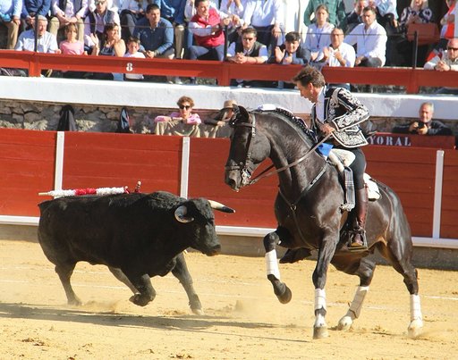 Manzanares sale en hombros de Brihuega