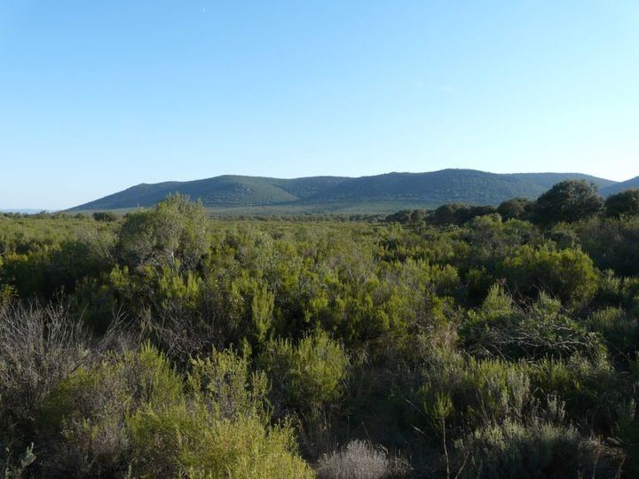 72 personas,13 medios terrestre y 9 medios aéreos luchan por extinguir el fuego en el Parque de Cabañeros