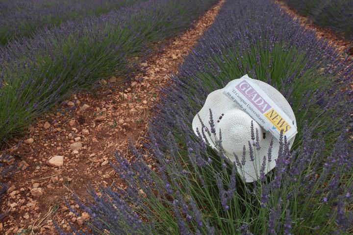 Sábado de bochorno con los termómetros llegando a los 34ºC y ni una nube en el cielo